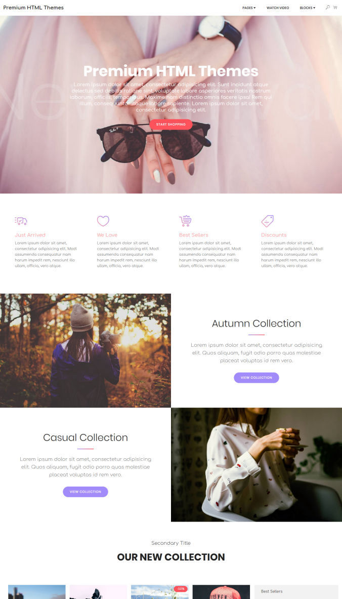 premium website theme